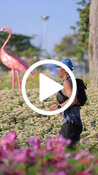 BIB:  <button type="button" onclick="openModal(27588570)" class="btn btn-primary btn-sm float-right" data-toggle="modal" data-target=".modal-high-quality">
                <i class="fa fa-download"></i> Download
                </button>